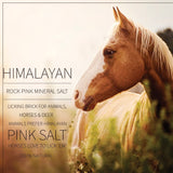 Himalayan Nature 100% Natural Himalayan Horse Rock Salt Block - Mineral Salt Licking Brick for Horses | 5-8 LBS | MaxStrata®