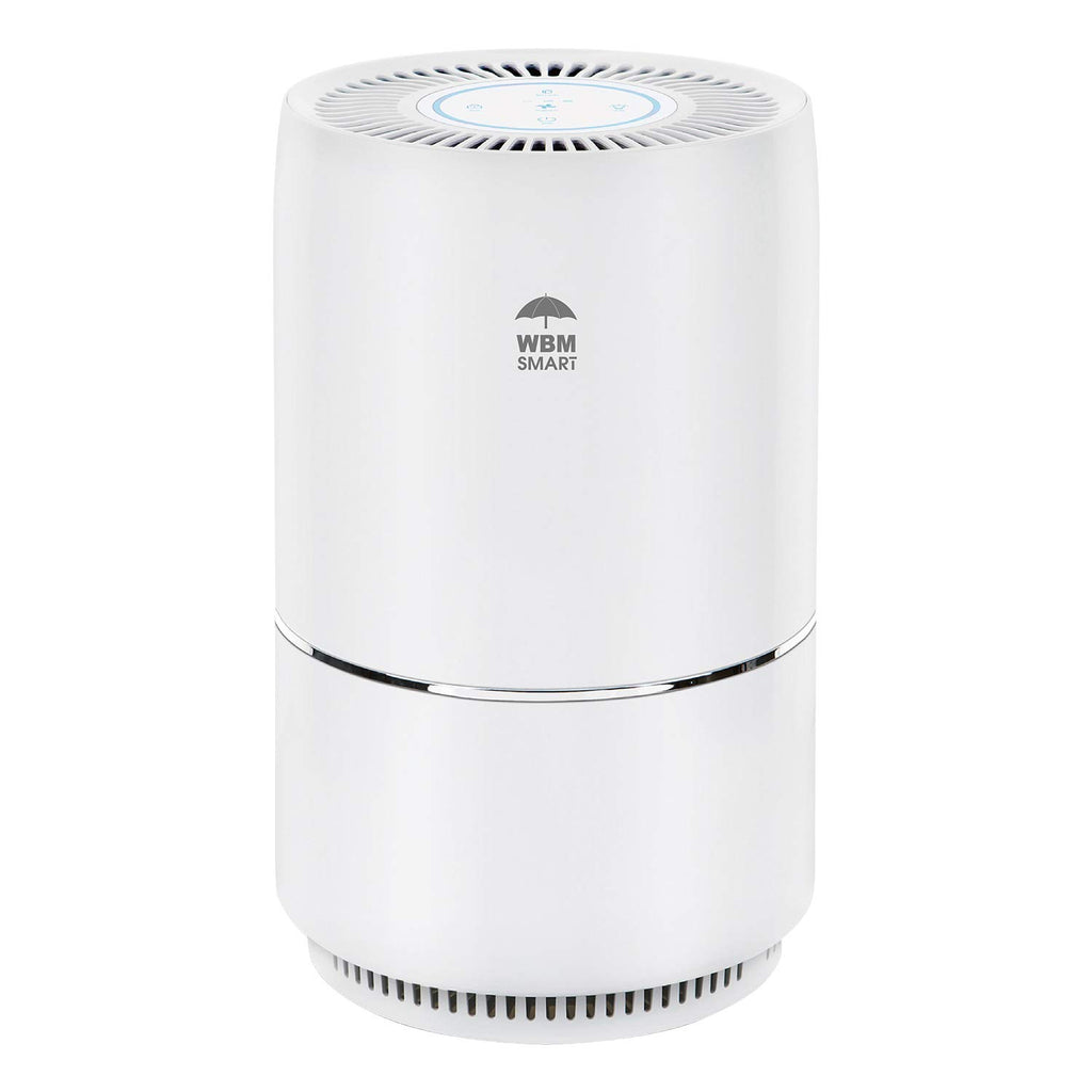 WBM Smart Air Purifier, Home Air Purifier Cleans Air From Smell, Pollen, Smoke, Dust Air Purifier for Home - White
