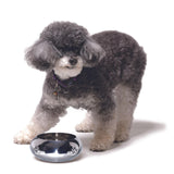 Unspill-a-Bowl® Stainless Steel Dog Bowl - Paws Pattern | No Spill, Long Ears, Slow Feeding, & Travel Bowl | MaxStrata®