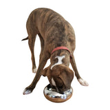 Unspill-a-Bowl® Stainless Steel Dog Bowl - Classic Silver | No Spill, Long Ears, Slow Feeding | MaxStrata®