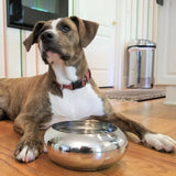 Unspill-a-Bowl® Stainless Steel Dog Bowl - Classic Silver | No Spill, Long Ears, Slow Feeding | MaxStrata®