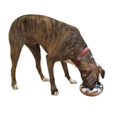 Unspill-a-Bowl® Stainless Steel Dog Bowl - Classic Silver | No Spill, Long Ears, Slow Feeding | MaxStrata®