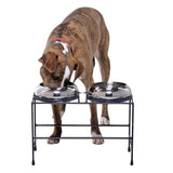 Unspill-a-Bowl® Stainless Steel Double Dog Bowl & Stand Bundle - Paws Pattern | No Spill, Long Ears, Slow Feeding | MaxStrata®