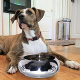 Unspill-a-Bowl® Stainless Steel Dog Bowl - Paws Pattern | No Spill, Long Ears, Slow Feeding, & Travel Bowl | MaxStrata®