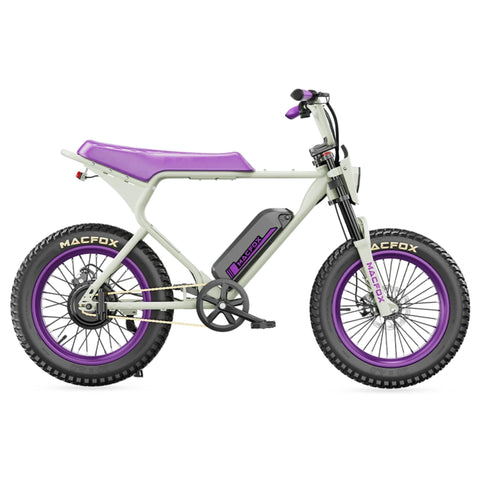 Macfox X1S x BS.ZAY Electric Bike | Exclusive Custom Design, 25mph, Long Range, Dual Battery Compatible