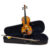 Rozanna’s Violins Butterfly Dream II Bejeweled Violin Outfit with Greco 4/4 | Includes Bow, Rosin, Case & Strings | MaxStrata®