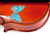 Rozanna's Butterfly Dream Violin Outfit 3/4 | Includes Bow, Rosin, Case & Strings | MaxStrata®