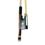 Rozanna's Butterfly Dream Violin Outfit 3/4 | Includes Bow, Rosin, Case & Strings | MaxStrata®