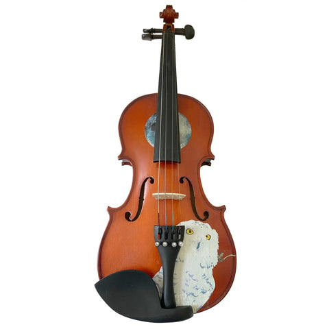 Rozanna's Violins Mystic Owl Violin Outfit | Brazilwood with Ebony Fittings | MaxStrata®