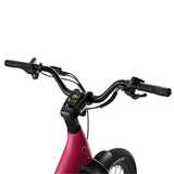 Urtopia Carbon Joy Ultra Cruiser E-Bike | UL 2849 Lightweight Carbon Fiber eBike with Fat Tires