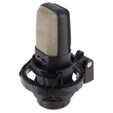Warm Audio WA-14 Large-Diaphragm Condenser Microphone | MaxStrata®