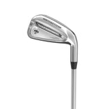 Northwestern Golf Men’s Thunderbird Irons Set