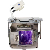 Viewsonic OEM RLC-110 Replacement Lamp for Viewsonic Projectors