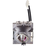 Viewsonic OEM RLC-116 Replacement Lamp for Viewsonic Projectors
