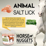 Himalayan Nature 100% Natural Solid Mineral Rock Horse Salt - Horse Nuggets,Super Food For Horse | 8 LBS | MaxStrata®