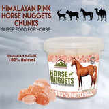 Himalayan Nature 100% Natural Solid Mineral Rock Horse Salt - Horse Nuggets,Super Food For Horse | 8 LBS | MaxStrata®