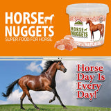 Himalayan Nature 100% Natural Solid Mineral Rock Horse Salt - Horse Nuggets,Super Food For Horse | 8 LBS | MaxStrata®