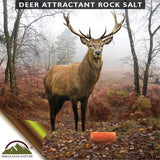 Himalayan Nature 100% Natural Himalayan Rock Deer Salt Block - Animal Licking Mineral Salt Block | 2-5 LBS | MaxStrata®