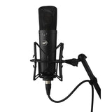 Warm Audio WA-87 R2 Large Diaphragm Condenser Microphone | MaxStrata®