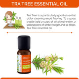 Natural Solution 100% Natural Pure Essential Oil - Purifying & Holistic Tea Tree Oil - 10 ml | MaxStrata®