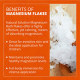Natural Solution Pure Magnesium Chloride Flakes with Himalayan Pink Salt - 350g (0.77 lbs) - Therapeutic Grade | MaxStrata®