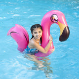 PoolCandy Inflatable Animal Ride-On Noodle - Pink Flamingo Pool Noodle | MaxStrata®